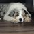 Amanda K. Goodish's profile image