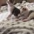 Franny Darnell-Flynn's profile image