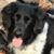Kim Mays Kropf's profile image