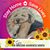 Dinah Foote's profile image