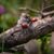 Gina Baxley Byrd's profile image