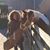 Margaret E. Yordan's profile image