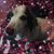 Robbin Johnson Hoffman's profile image