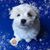 Gareth Clarke's profile image