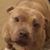 Melody Ann Bowler's profile image