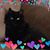 Patricia McDonald's profile image