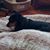 Denise Graziano's profile image