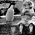 Phylis Kieffer-Behringer's profile image