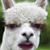 Jacob Romero's profile image