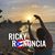 Francelys Desarden Flores's profile image