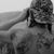 Dawn Goertz Baker's profile image