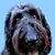 Carlene MacLeod Smith's profile image
