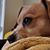 Ellie Alexander's profile image