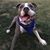 Allison Clark's profile image
