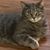 Paula Freeman Burgess's profile image