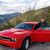 Marc de Smidt's profile image