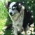 Amy Schneider's profile image