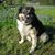 Kimberly Anders Alexander's profile image