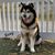 Janette Slusher's profile image