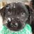 Mary Crow's profile image