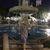 Brunilda Torres's profile image
