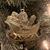 Allan Huskins Jr.'s profile image