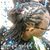 Trinnita Swain's profile image