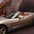 Gerri George Moniz's profile image
