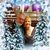 Joyce Thomas's profile image