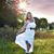 Tammie Sloop Brown's profile image