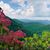 Beth McTeer's profile image