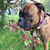 Bonny Parsons's profile image