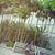Sade Bel's profile image