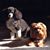 Peg DuBuc's profile image