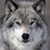 Maureen Wolff's profile image