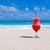 Dawn Renner Campanelli's profile image