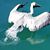 Lorie Gardner's profile image