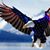 James Robertson's profile image