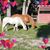 Tracy Tifft's profile image