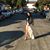 Leah S. Cowan's profile image