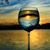 Vicki Marshall's profile image