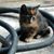 Susan Nielson Olson's profile image