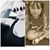 Danielle Cristiano's profile image