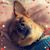 Amy Droivold-Moore's profile image