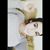 Holli A Schattel's profile image