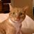 Joyce Ohler Mayor's profile image