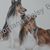 Susie Heilman Brown's profile image