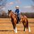 Kristi Marie Breickler's profile image