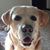 Tammy Redwine's profile image
