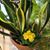 Lynda Schmedlen Terrill's profile image
